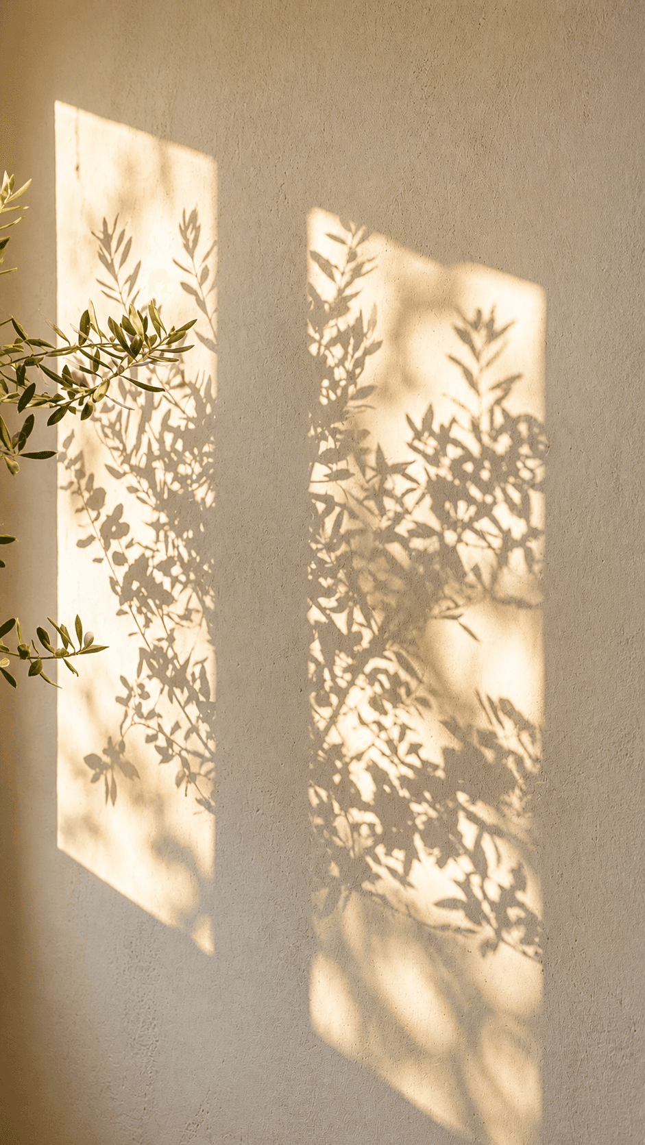 AHW nature — leaf shadow